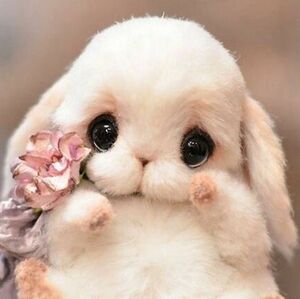 Meet your Posher, Connie